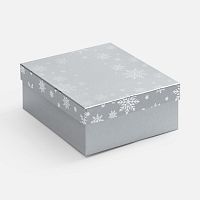 Коробка Wintry, серебристая