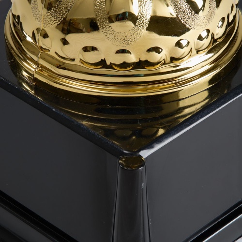 Кубок Top Star, золотистый фото 2