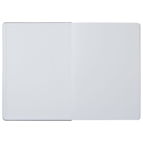 Ежедневник «Исторический», полудатированный, серебро фото 11