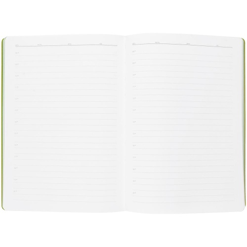 Ежедневник Flexpen, недатированный, серебристо-зеленый фото 12 Ежедневник Flexpen, недатированный, серебристо-зеленый фото 12