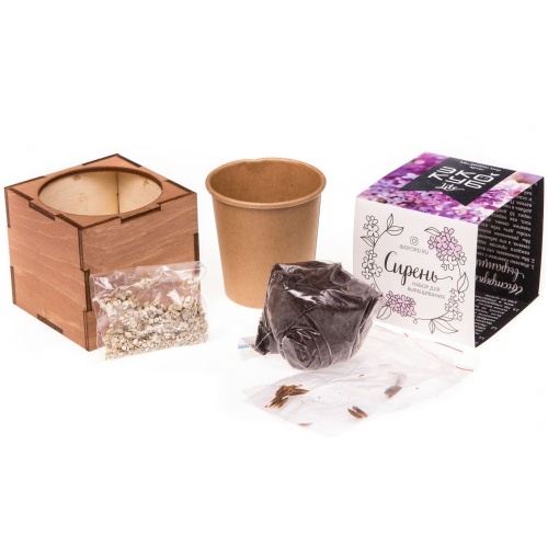 Набор для выращивания «Экокуб Lite», сирень фото 6