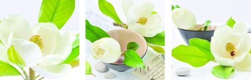 Настенная композиция «Магнолия» Настенная композиция «Магнолия»