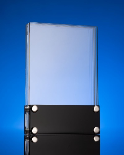 Награда Scriptum фото 3