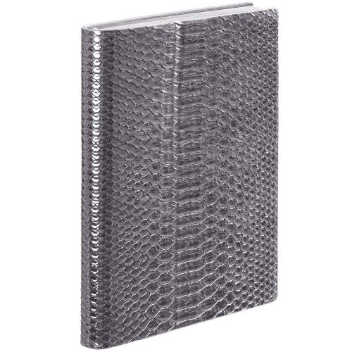 Ежедневник Anaconda, недатированный, серебристый Ежедневник Anaconda, недатированный, серебристый