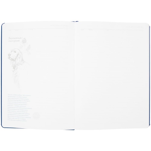 Ежедневник «История изобретений», недатированный, синий фото 8 Ежедневник «История изобретений», недатированный, синий фото 8