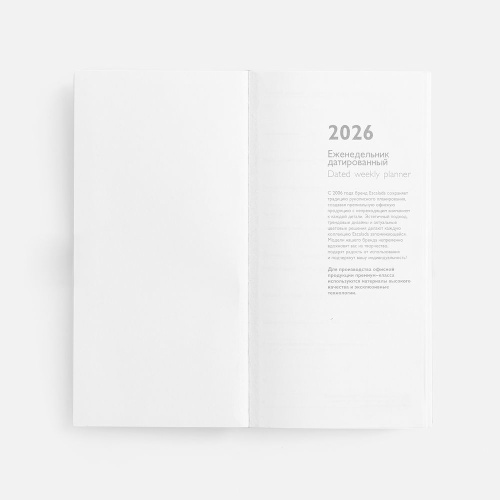 Еженедельник Baza, датированный, серый фото 3