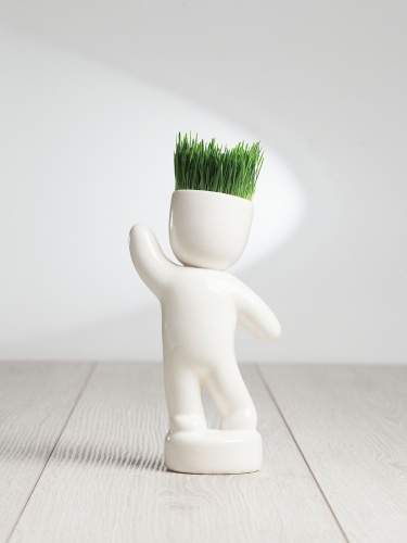 Набор для выращивания Funky Buddy фото 6