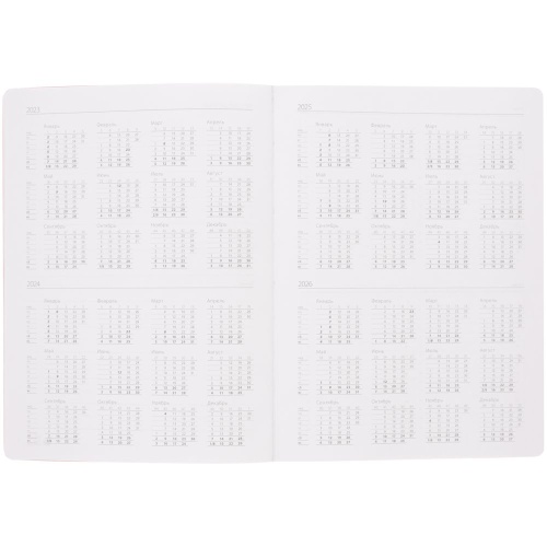 Еженедельник Lucky, недатированный, серый фото 6